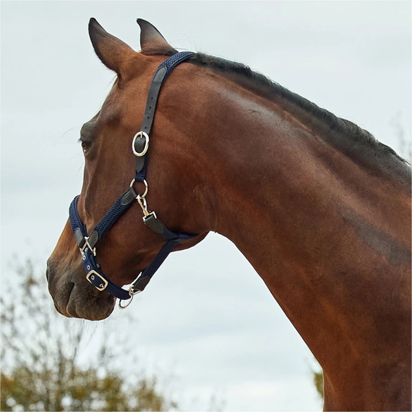 2026 Dublin Braided Leather Headcollar 1031532 - Navy